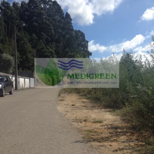 Terreno para Venda em Pessegueiro do Vouga Foto 3