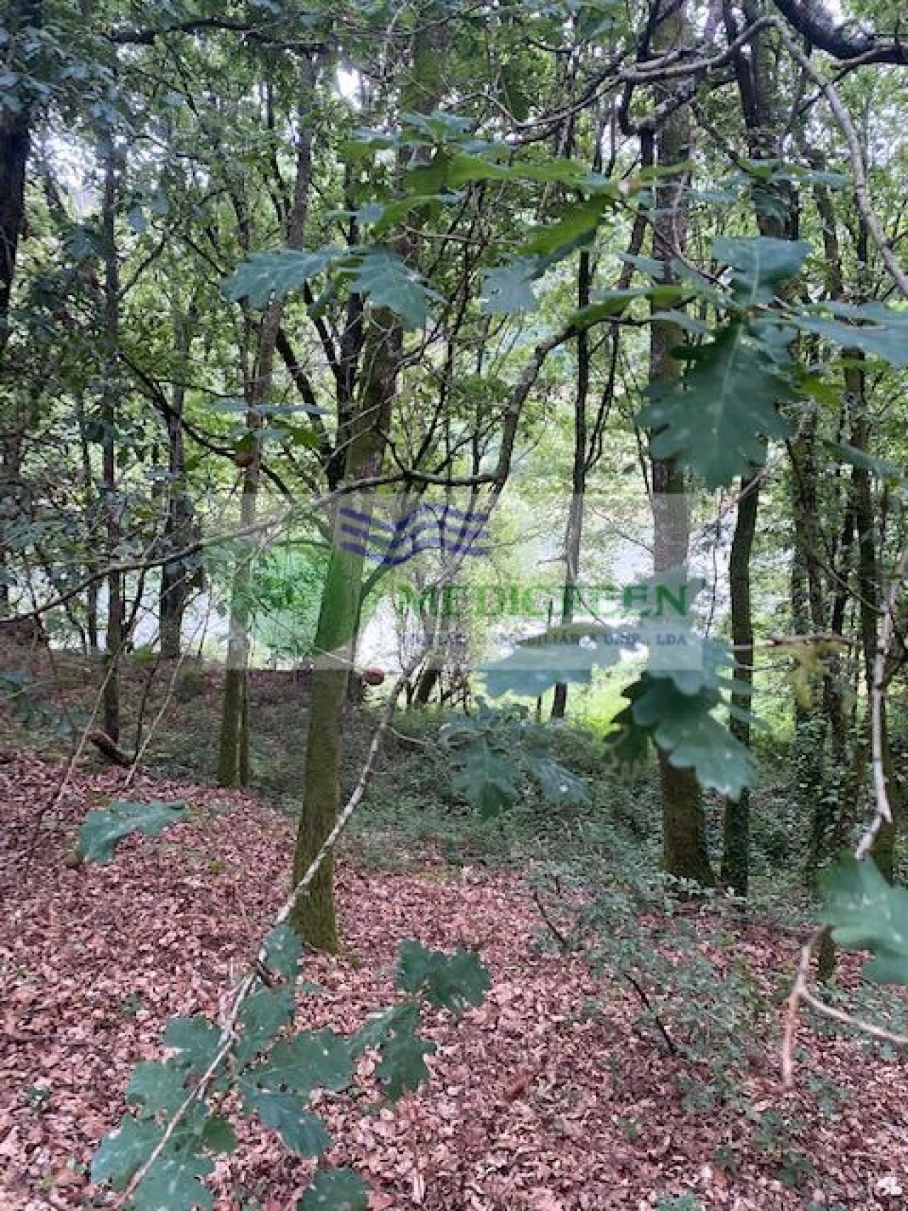 Terreno para Venda em Arcozelo das Maias Foto 1
