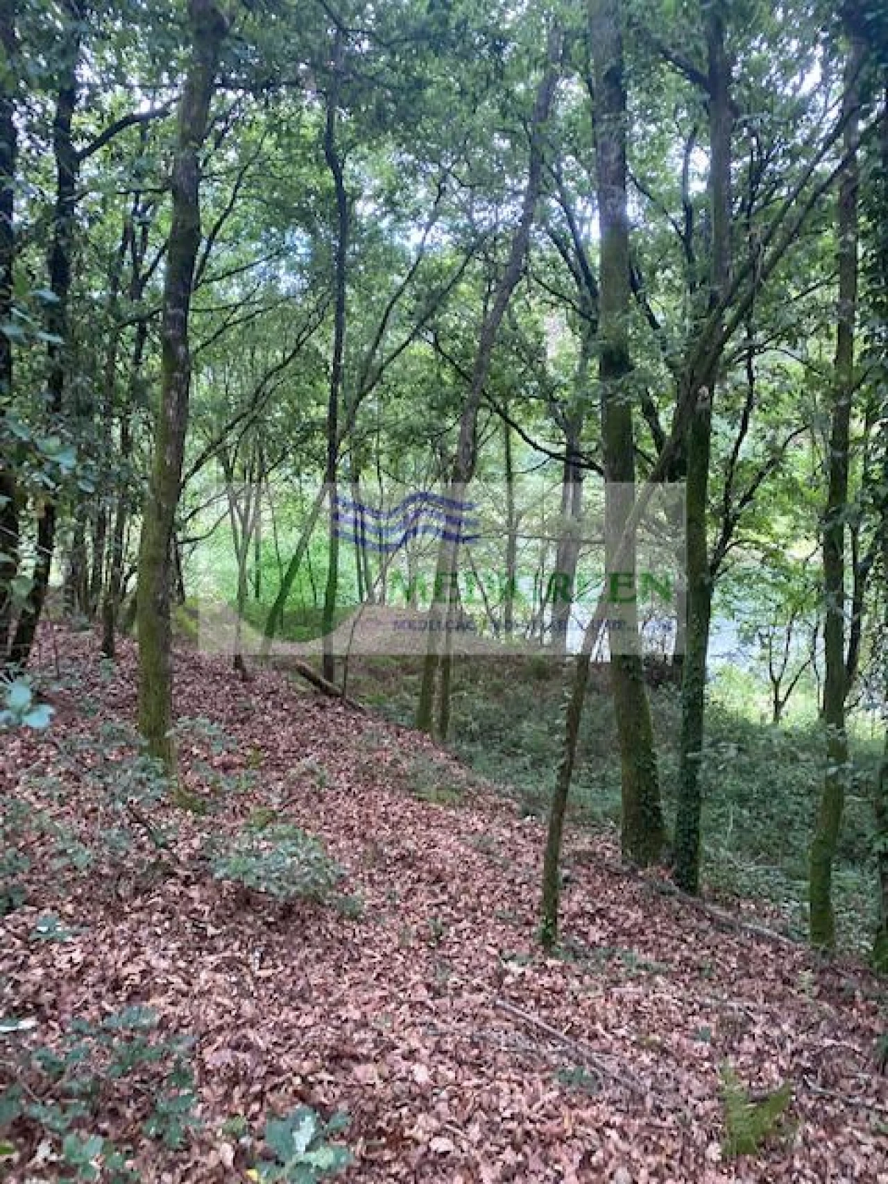 Terreno para Venda em Arcozelo das Maias Foto 2