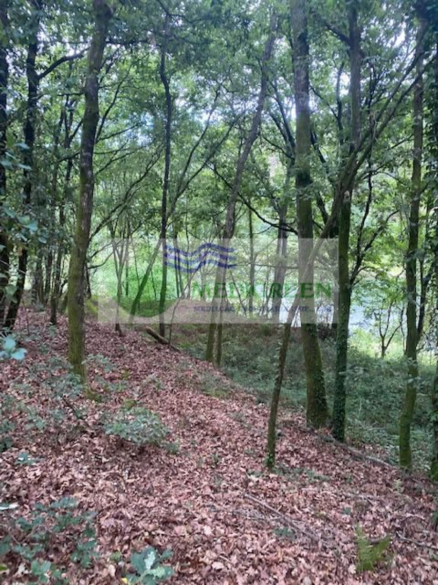 Terreno para Venda em Arcozelo das Maias Foto 2