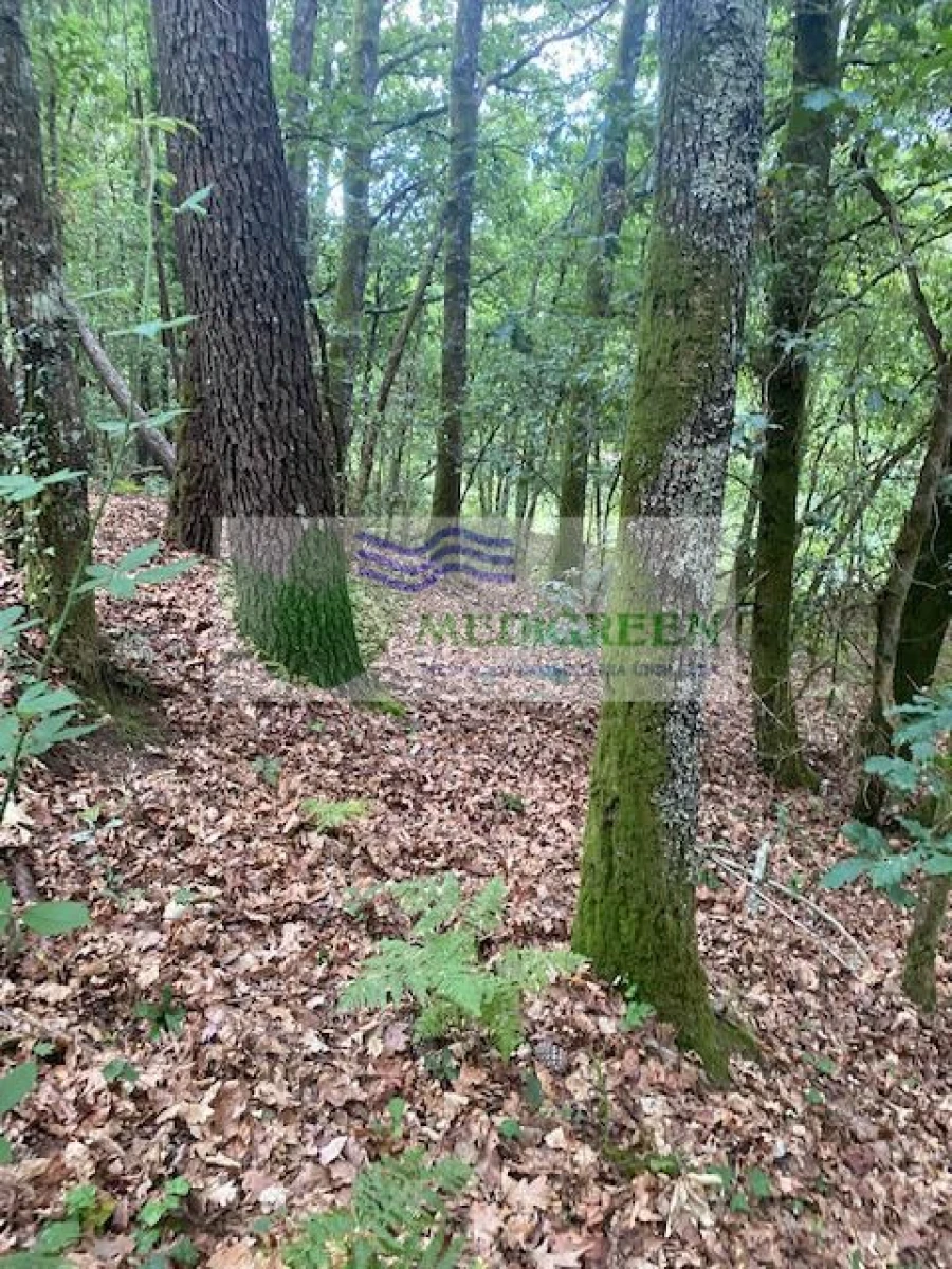 Terreno para Venda em Arcozelo das Maias Foto 3