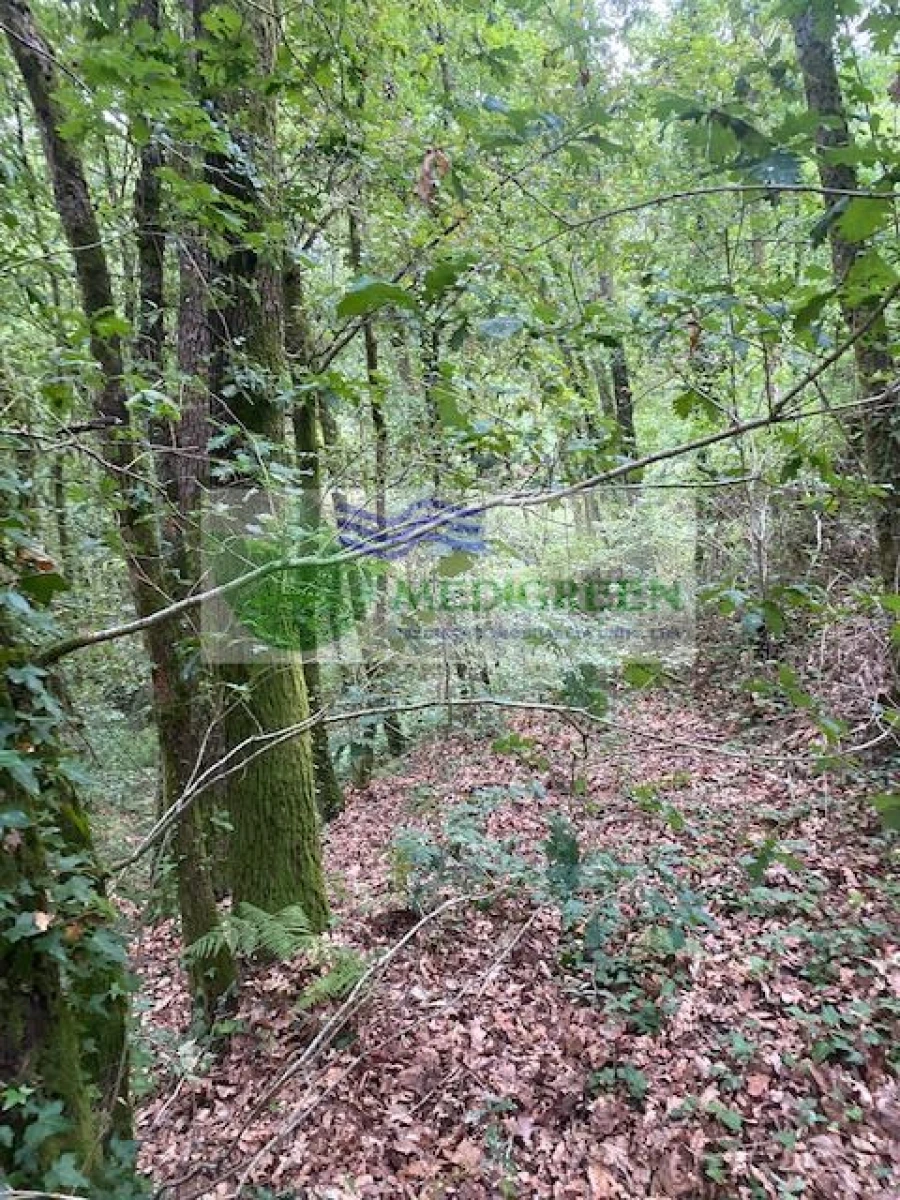 Terreno para Venda em Arcozelo das Maias Foto 4