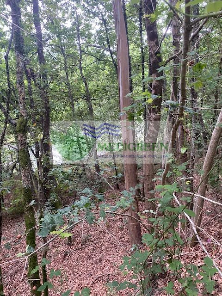 Terreno para Venda em Arcozelo das Maias Foto 6