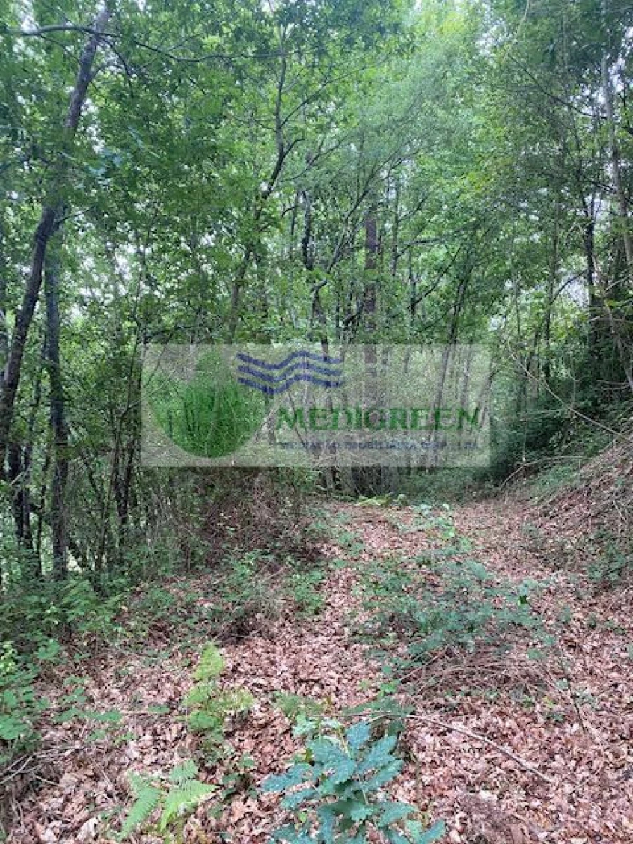 Terreno para Venda em Arcozelo das Maias Foto 7