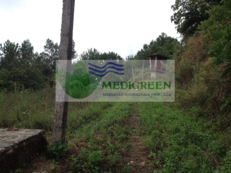 Terreno para Venda em Rocas do Vouga Foto 1