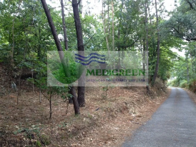 Terreno para Venda em Rocas do Vouga Foto 4