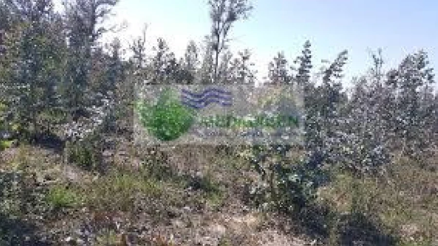 Terreno para Venda em Ferreira de Aves