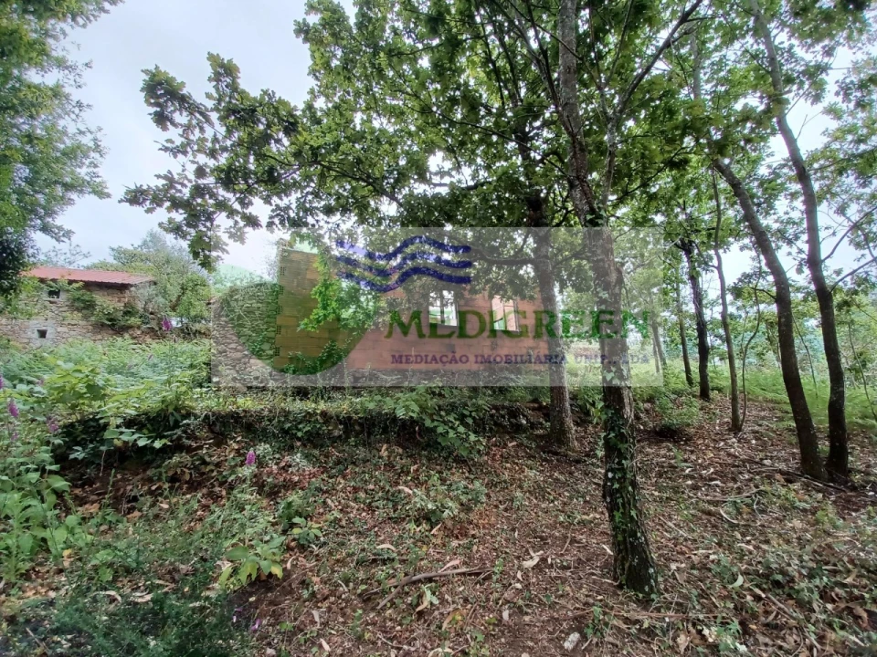 Quinta para Venda em Silva Escura e Dornelas Foto 1