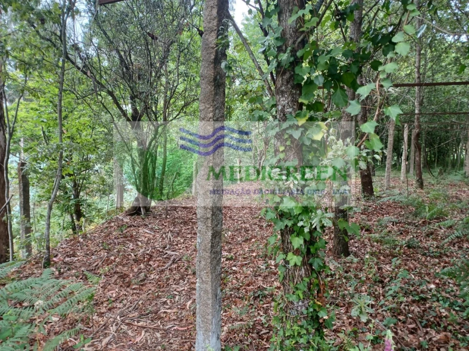 Quinta para Venda em Silva Escura e Dornelas Foto 6