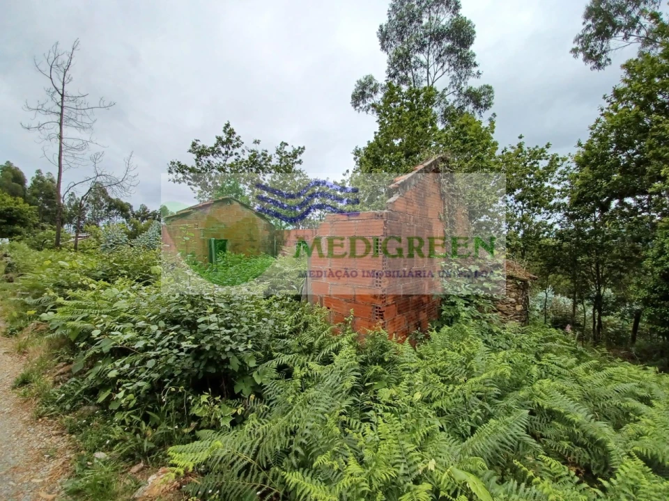 Quinta para Venda em Silva Escura e Dornelas Foto 10