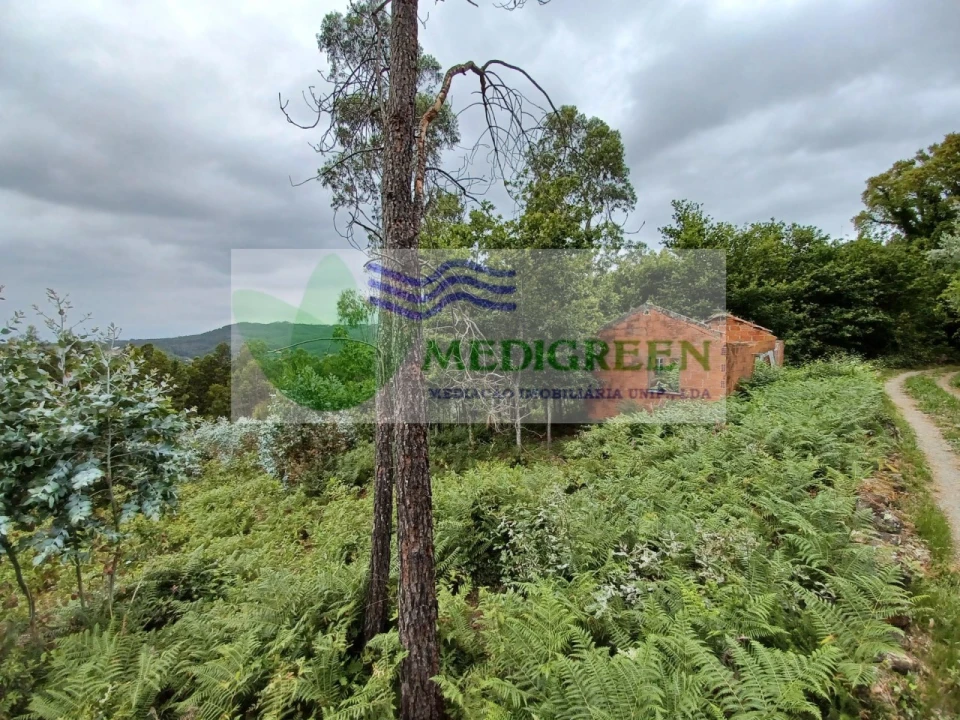 Quinta para Venda em Silva Escura e Dornelas Foto 11