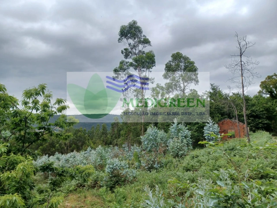 Quinta para Venda em Silva Escura e Dornelas Foto 13