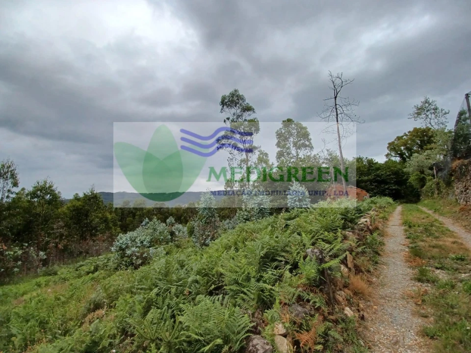 Quinta para Venda em Silva Escura e Dornelas Foto 14