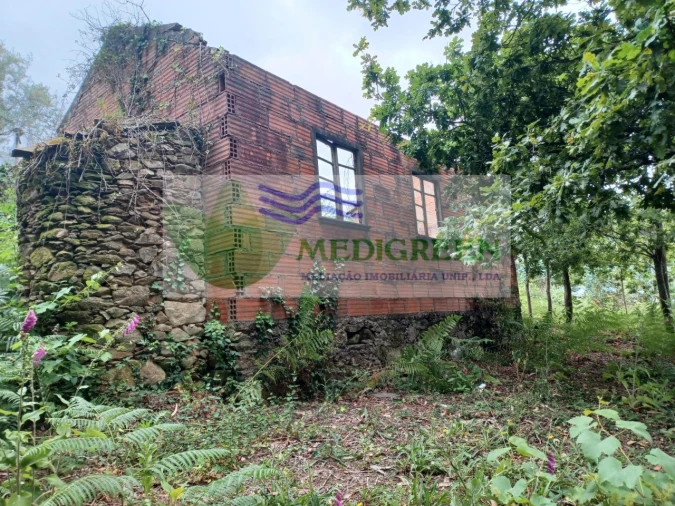 Quinta para Venda em Silva Escura e Dornelas Foto 2