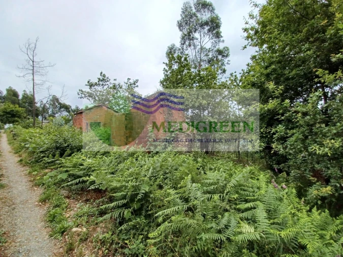 Quinta para Venda em Silva Escura e Dornelas Foto 4