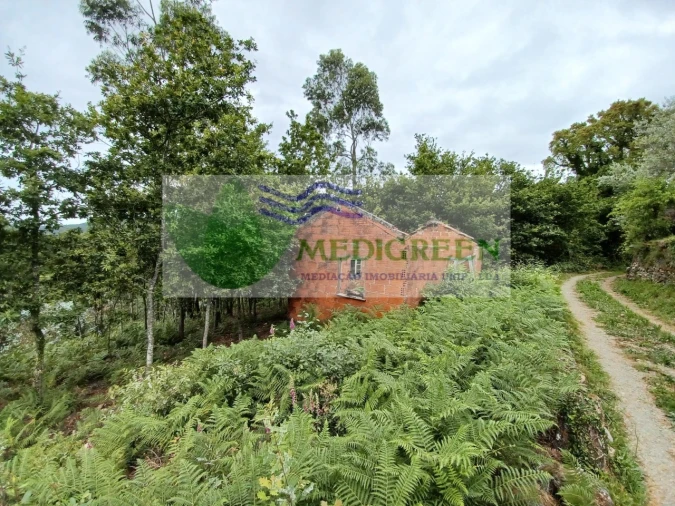 Quinta para Venda em Silva Escura e Dornelas Foto 5