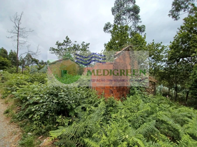 Quinta para Venda em Silva Escura e Dornelas Foto 8