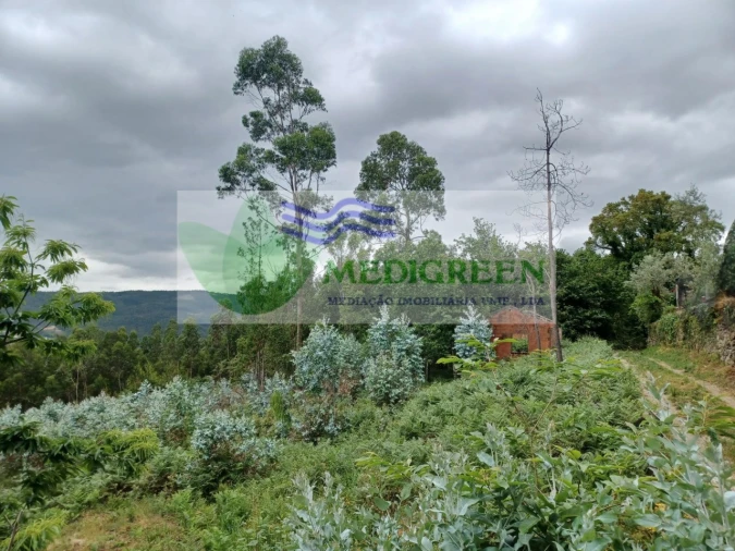 Quinta para Venda em Silva Escura e Dornelas Foto 12