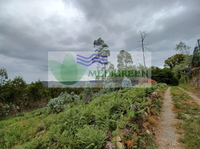 Quinta para Venda em Silva Escura e Dornelas Foto 14