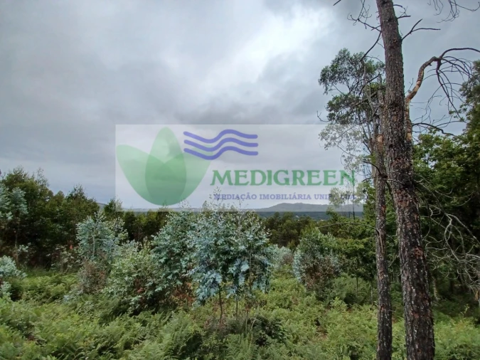 Quinta para Venda em Silva Escura e Dornelas Foto 15