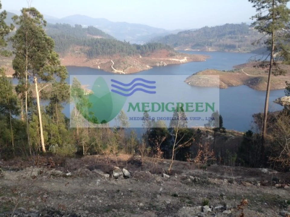 Terreno para Venda em Couto de Esteves Foto 1