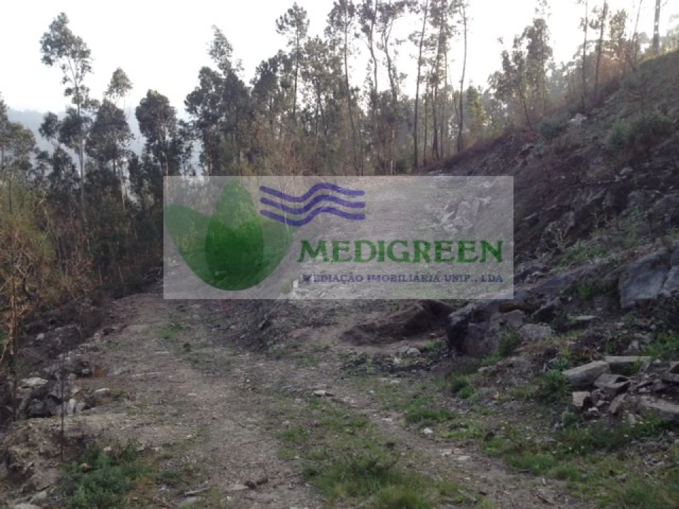 Terreno para Venda em Couto de Esteves Foto 4