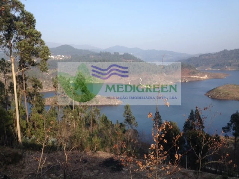 Terreno para Venda em Couto de Esteves Foto 5