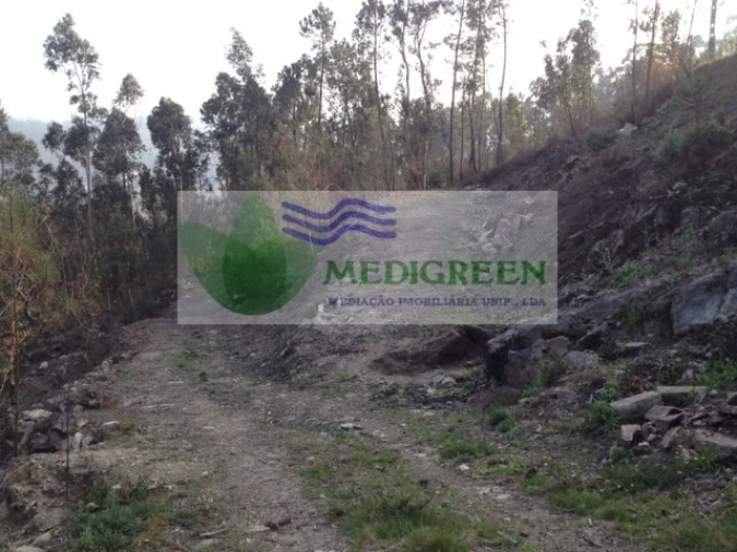 Terreno para Venda em Couto de Esteves Foto 4