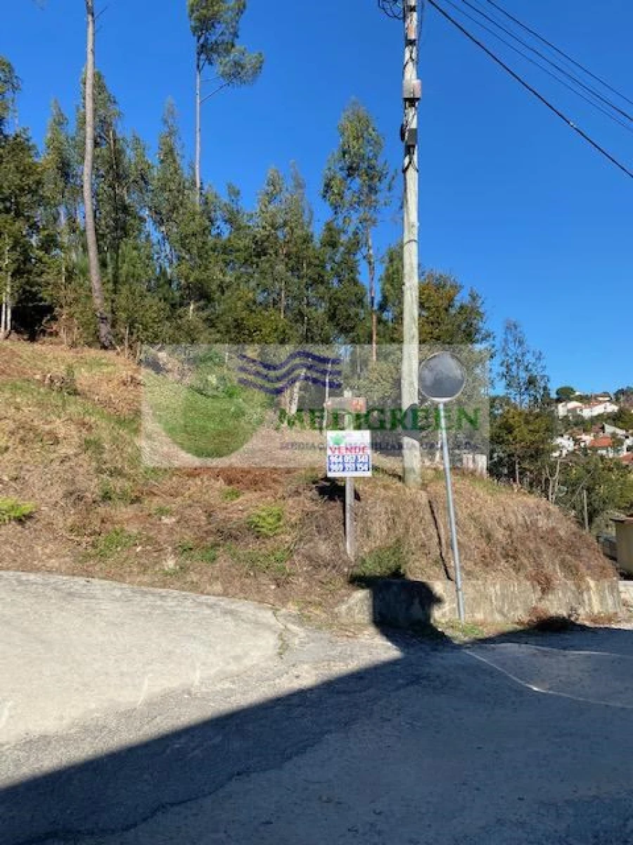 Terreno para Venda em Pessegueiro do Vouga Foto 2