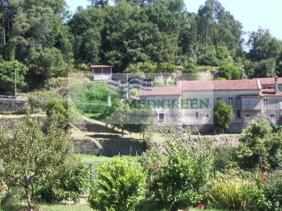 Quinta T5 para Venda em Sever do Vouga Foto 1