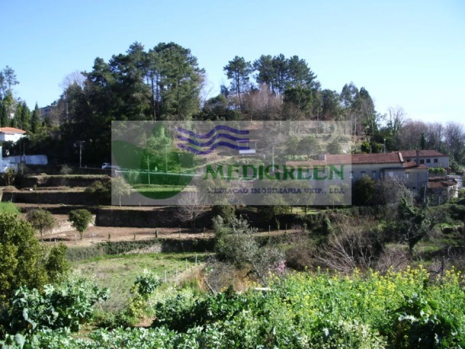 Quinta T5 para Venda em Sever do Vouga Foto 3