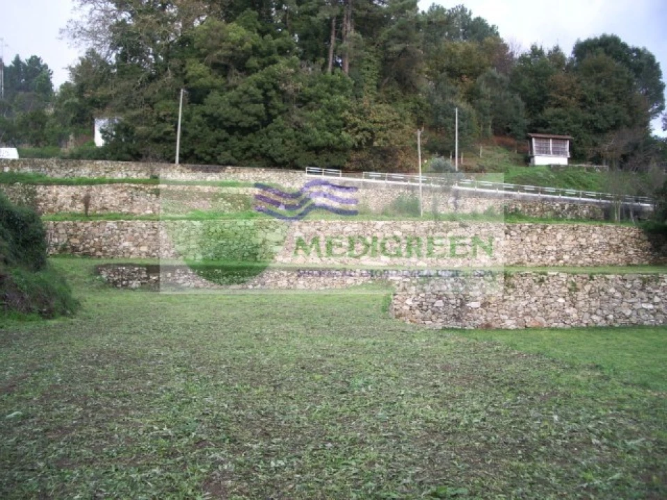 Quinta T5 para Venda em Sever do Vouga Foto 16