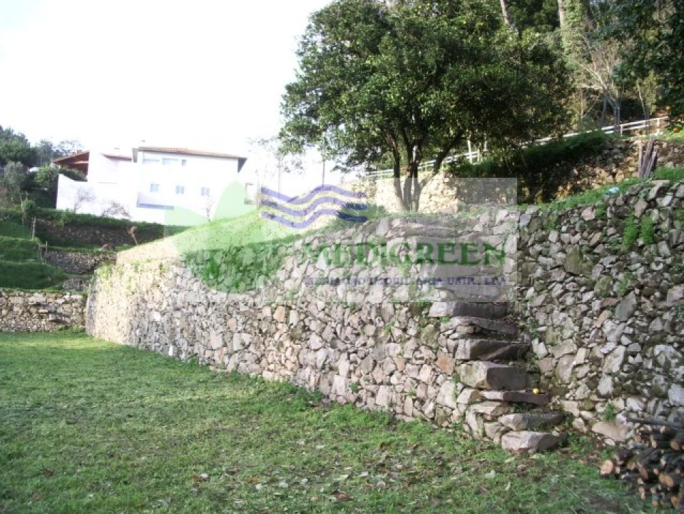 Quinta T5 para Venda em Sever do Vouga Foto 21