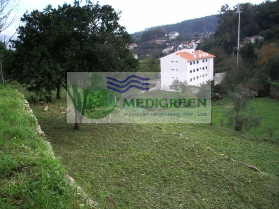 Quinta T5 para Venda em Sever do Vouga Foto 28