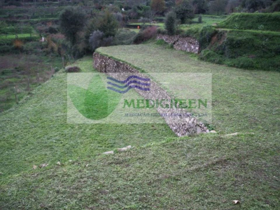 Quinta T5 para Venda em Sever do Vouga Foto 29