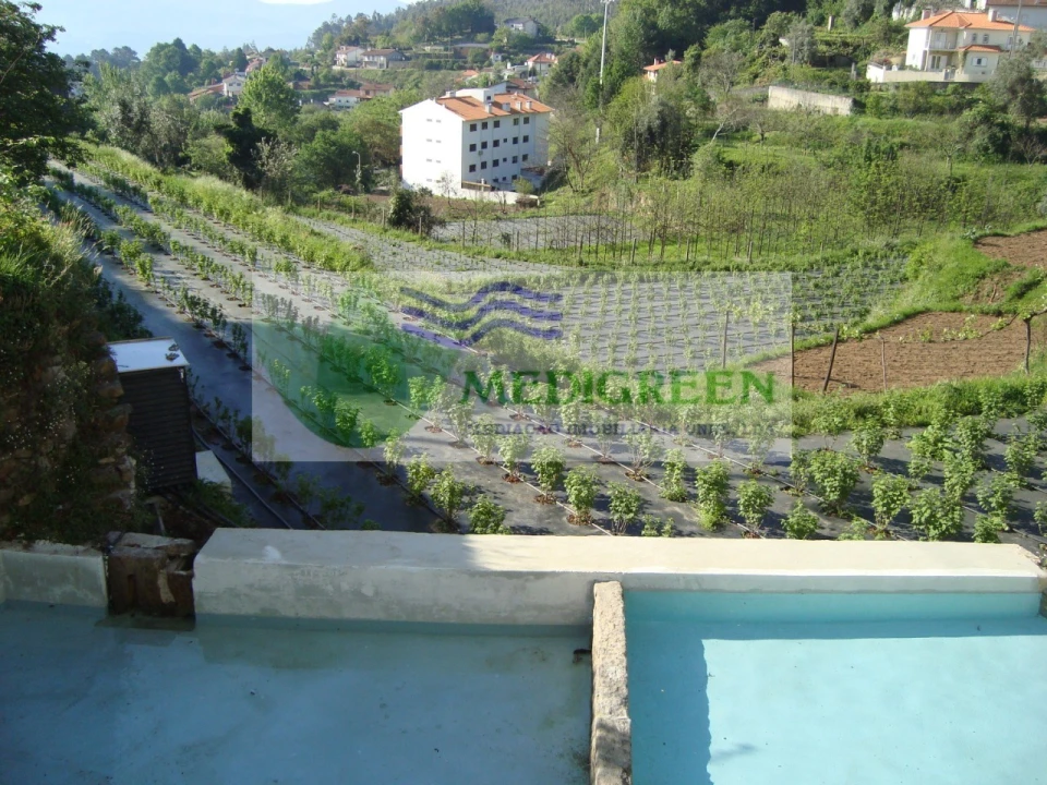 Quinta T5 para Venda em Sever do Vouga Foto 30