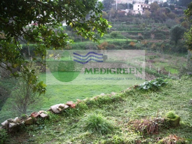 Quinta T5 para Venda em Sever do Vouga Foto 8