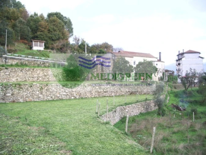 Quinta T5 para Venda em Sever do Vouga Foto 9