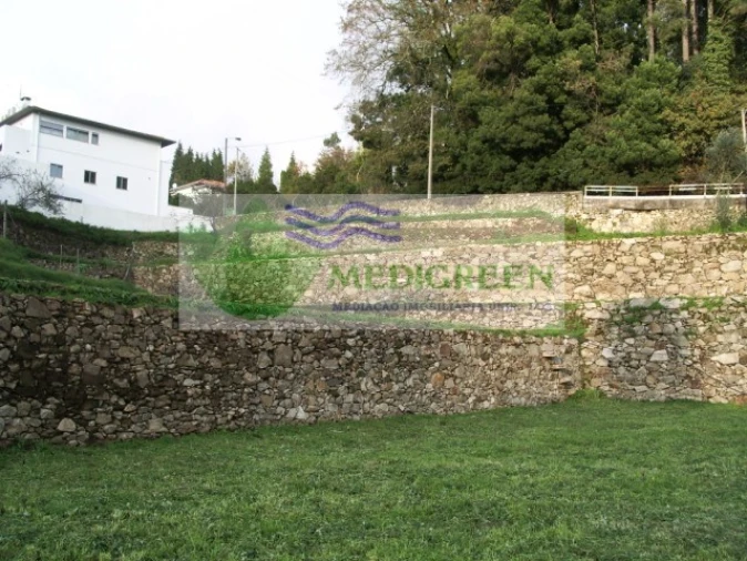 Quinta T5 para Venda em Sever do Vouga Foto 13