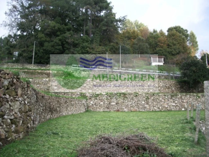 Quinta T5 para Venda em Sever do Vouga Foto 14