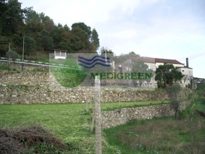 Quinta T5 para Venda em Sever do Vouga Foto 15