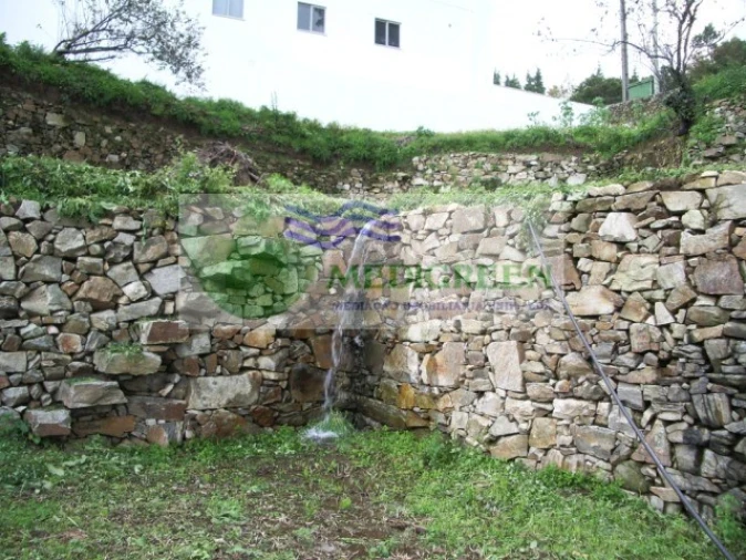 Quinta T5 para Venda em Sever do Vouga Foto 23