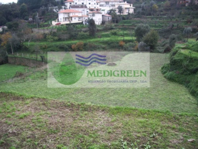 Quinta T5 para Venda em Sever do Vouga Foto 27