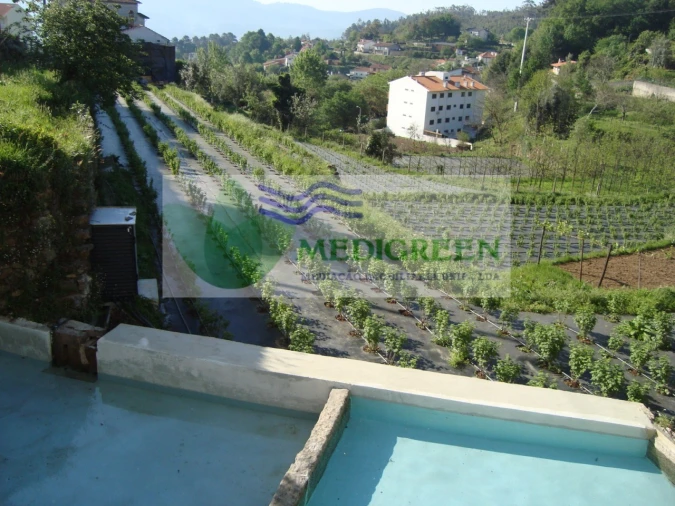 Quinta T5 para Venda em Sever do Vouga Foto 31