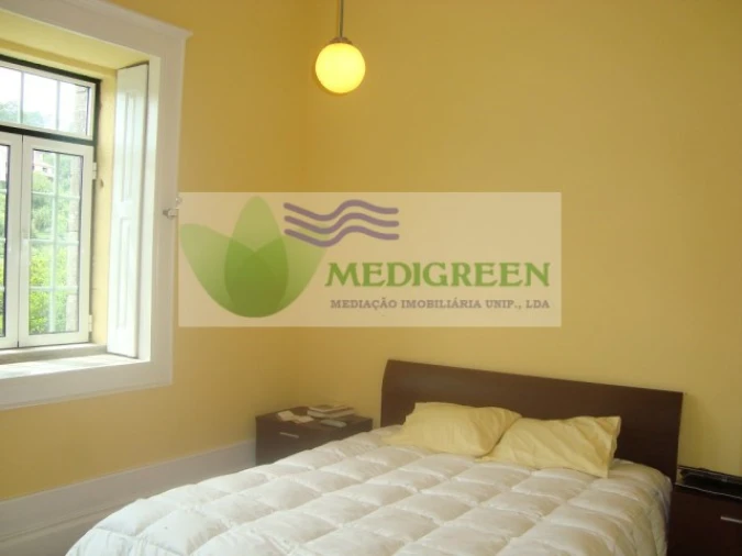 Quinta T5 para Venda em Sever do Vouga Foto 34