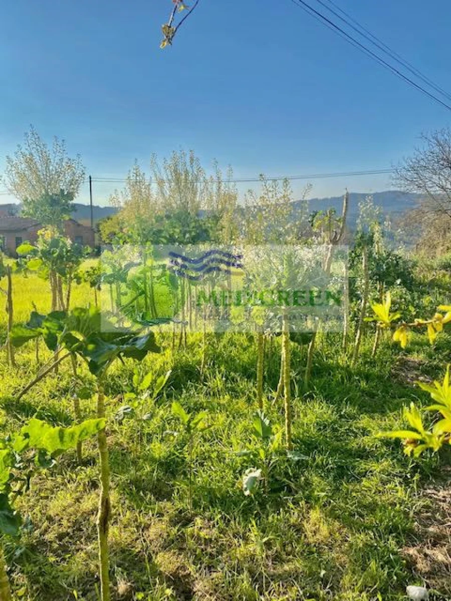 Terreno para Venda em Cedrim e Paradela Foto 4