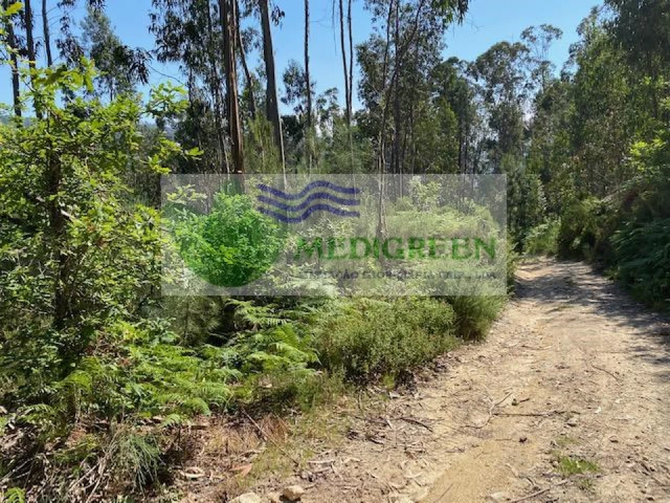 Terreno para Venda em Couto de Esteves Foto 3