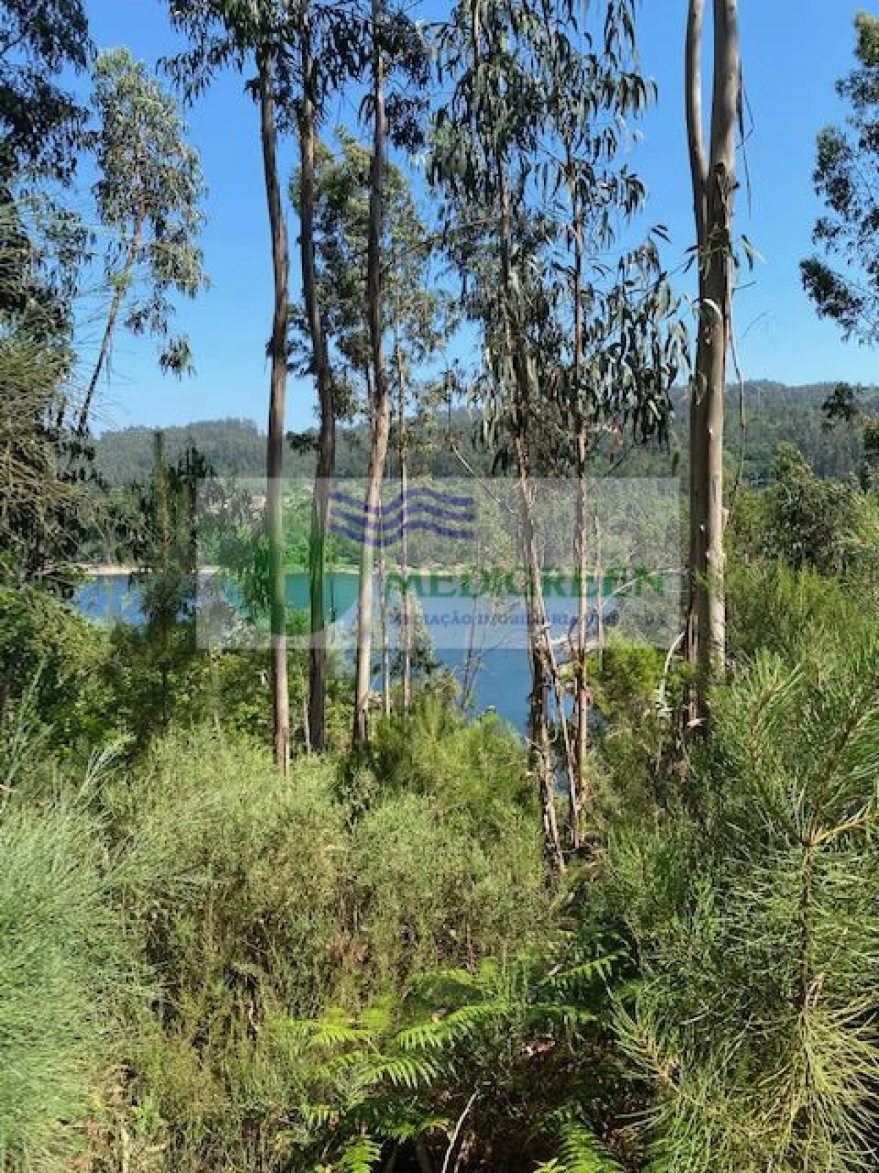 Terreno para Venda em Couto de Esteves Foto 4