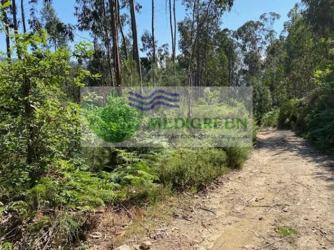 Terreno para Venda em Couto de Esteves Foto 3