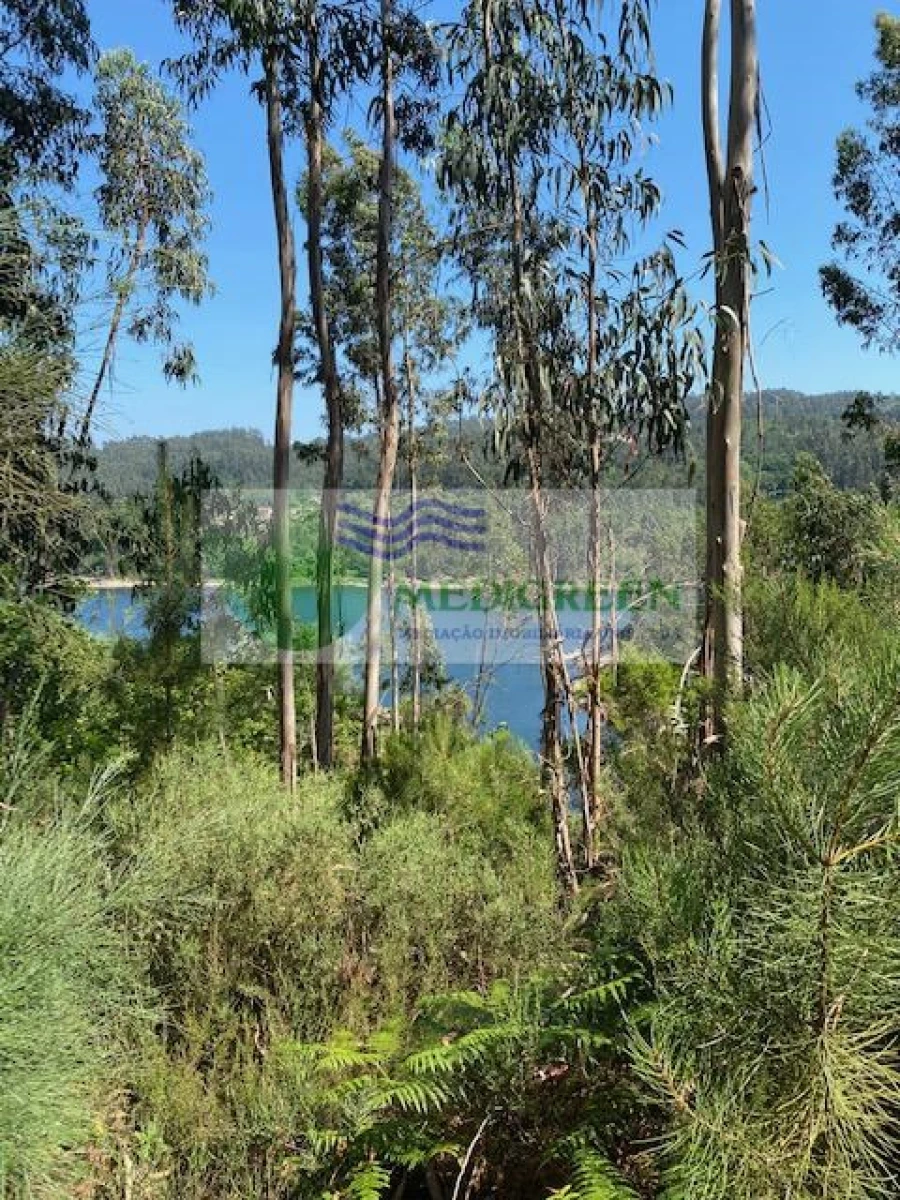 Terreno para Venda em Couto de Esteves Foto 4